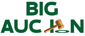 Big Auction